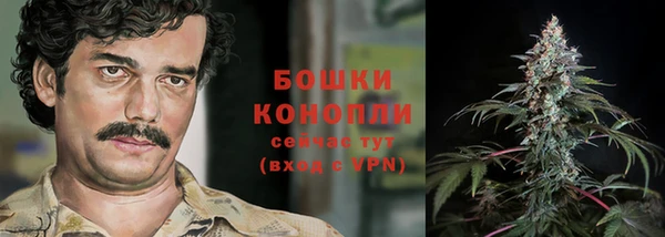 гидропоника Бронницы